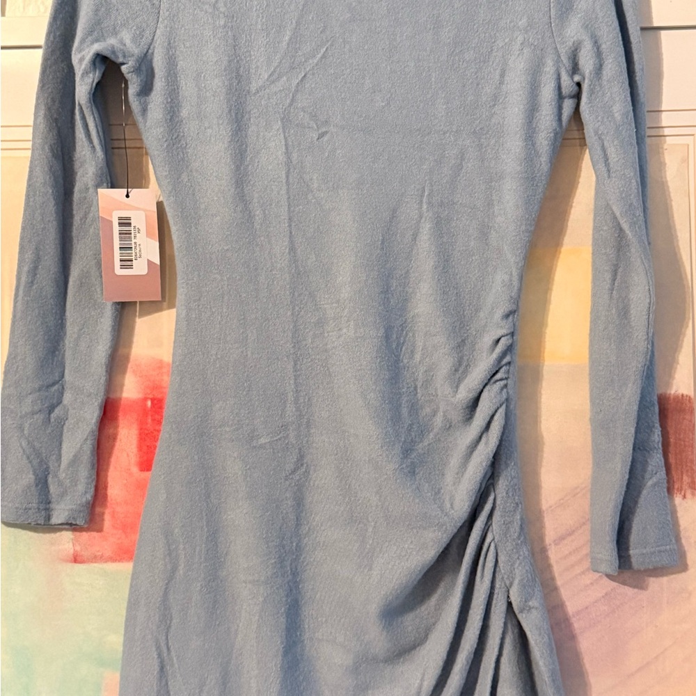 Light Blue Long Sleeve Ruched Side Dress - Women